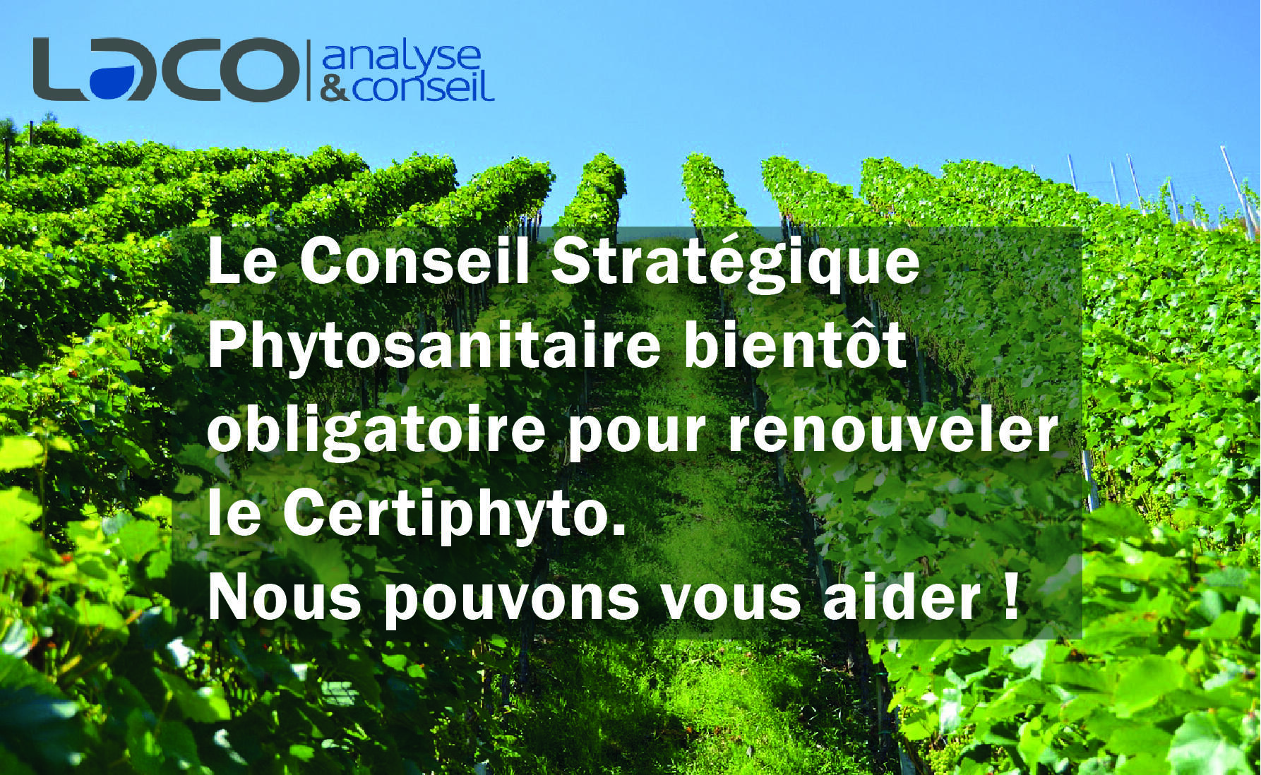 NOUVEAU SERVICE : le Conseil Phytosanitaire Stratégique