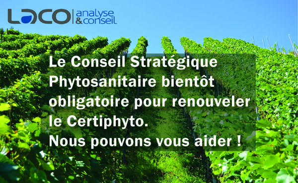 NOUVEAU SERVICE : le Conseil Phytosanitaire Stratégique