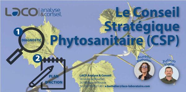 Conseil Stratégique Phytosanitaire : nous pouvons vous aider !