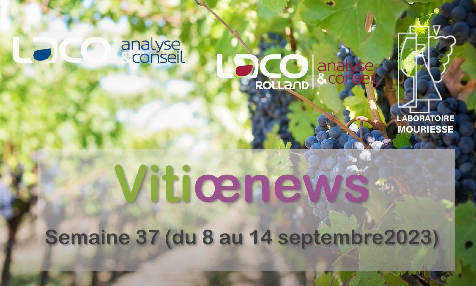 Vitiœnews de la semaine 37