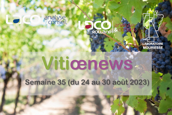 Vitiœnews de la semaine 35