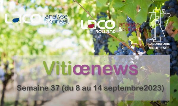 Vitiœnews de la semaine 37