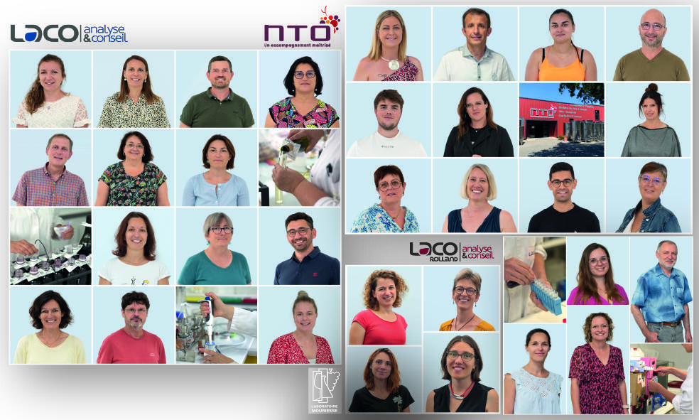 Les visages des laboratoires et de NTO