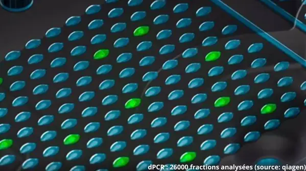 LACO se dote de la Digital PCR : une réponse technique aux défis de Brettanomyces
