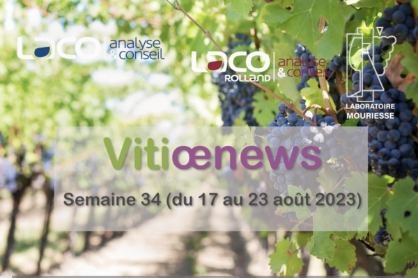 Vitiœnews de la semaine 34