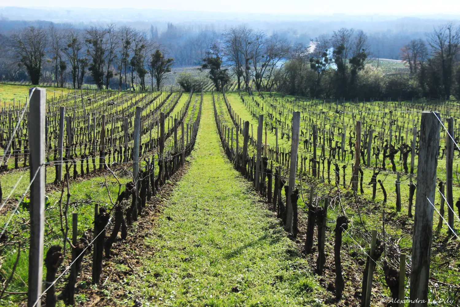L'accompagnement à la certification Haute Valeur Environnementale (HVE)